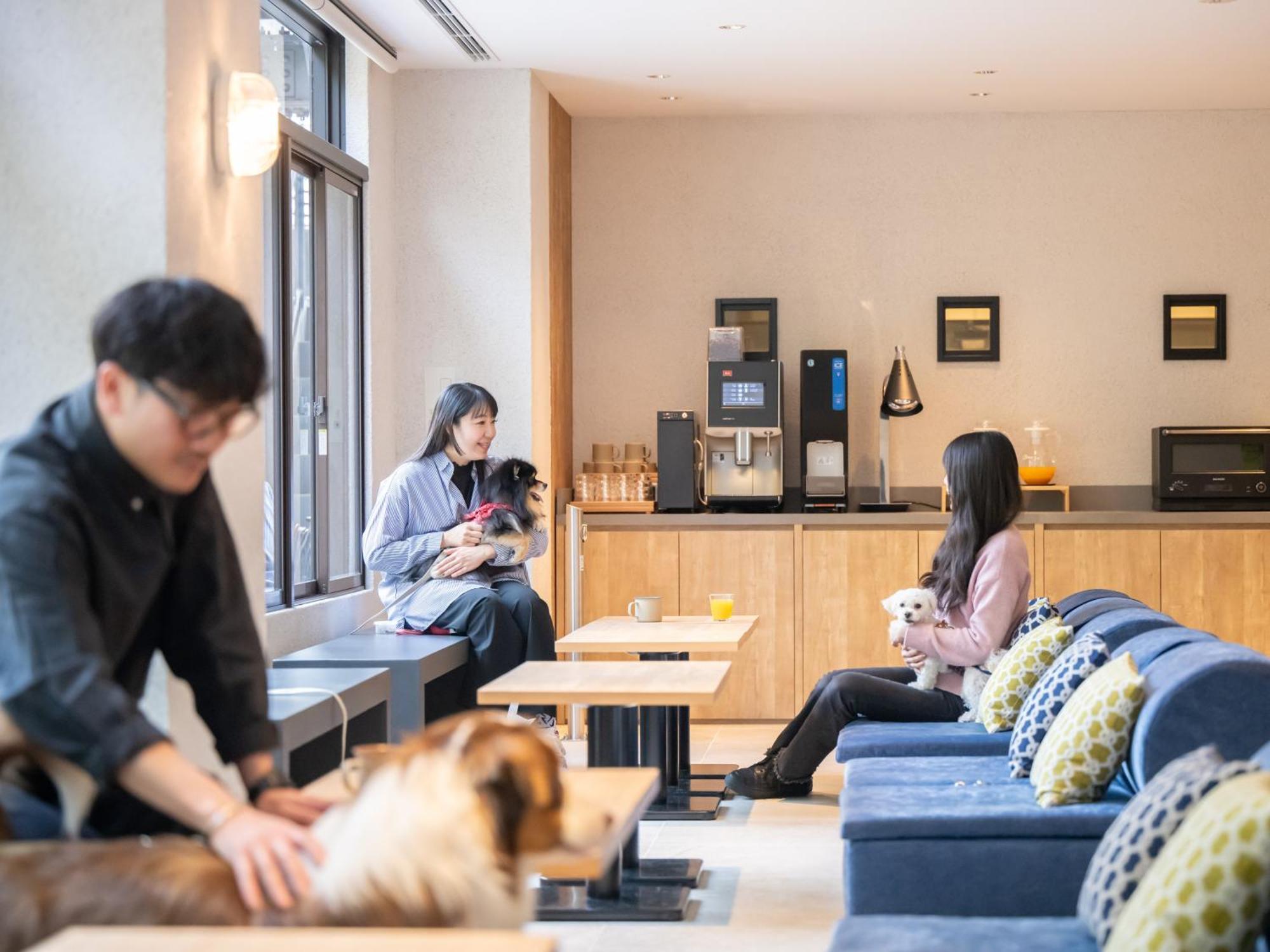 Hotel Anddoggy Kyoto Nijo Exterior photo